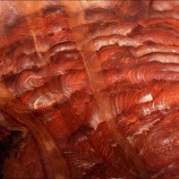 Foto de Petra