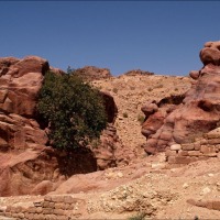 Foto de Petra