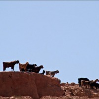 Foto de Petra