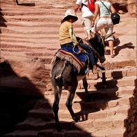 Foto de Petra