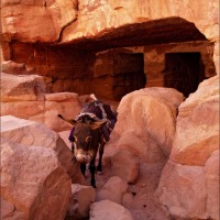 Foto de Petra