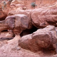 Foto de Petra