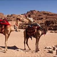 Foto de Petra