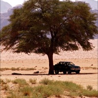 Foto de Wadi Rum