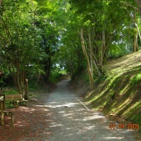 Foto de Caguas
