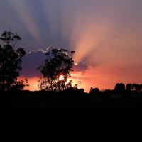 Foto de Canelones