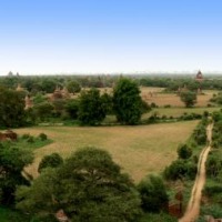 Foto de Bagan