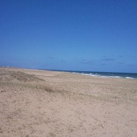 Foto de Las Garzas (Rochas)