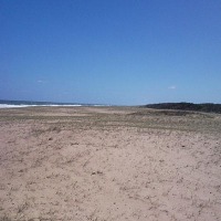 Foto de Las Garzas (Rochas)