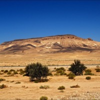 Foto de Al Qaryatayn