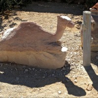 Foto de Al Qaryatayn