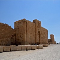 Foto de Palmira