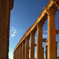 Foto de Palmira