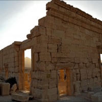 Foto de Palmira