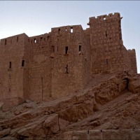 Foto de Palmira