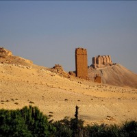 Foto de Palmira