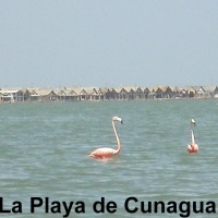 Foto de Cunagua