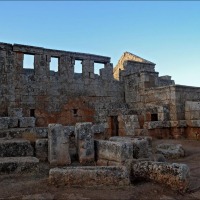 Foto de Sergilla