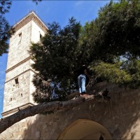 Foto de Alepo