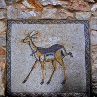 Foto de Madaba