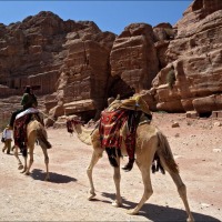 Foto de Petra