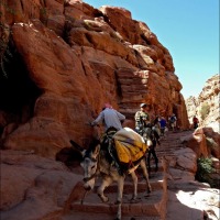 Foto de Petra