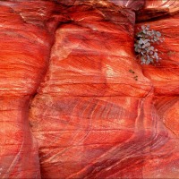 Foto de Petra