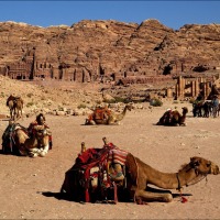 Foto de Petra