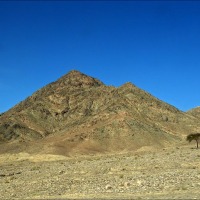 Foto de Wadi Rum