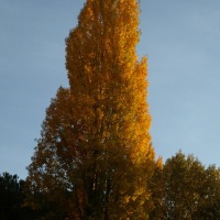 Foto de Peñafiel