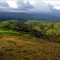 Foto de Selaya