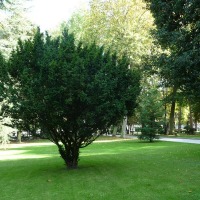 Foto de Oviedo