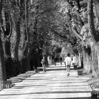 Foto de Burgos