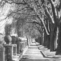 Foto de Burgos
