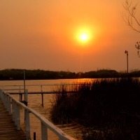 Foto de Zarate Brazo Largo