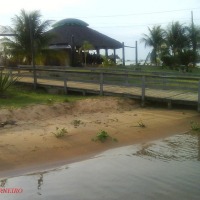 Foto de Palmas to