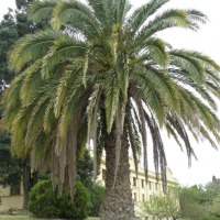 Foto de Victoria (Entre Ríos)