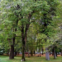 Foto de Liérganes