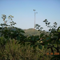 Foto de Figarines (Oviedo)