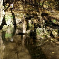 Foto de Fontibre