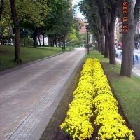 Foto de Oviedo