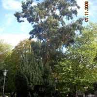 Foto de Oviedo
