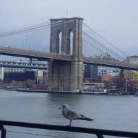 Foto de New york