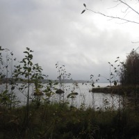 Foto de Haukivuori