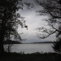 Foto de Haukivuori