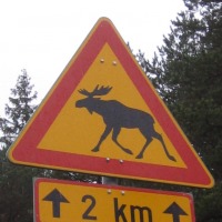 Foto de Haukivuori