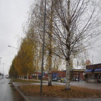 Foto de Mikkeli