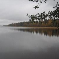 Foto de Haukivuori