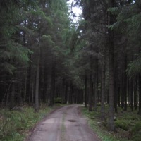 Foto de Haukivuori