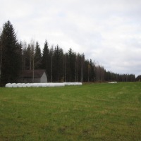 Foto de Haukivuori